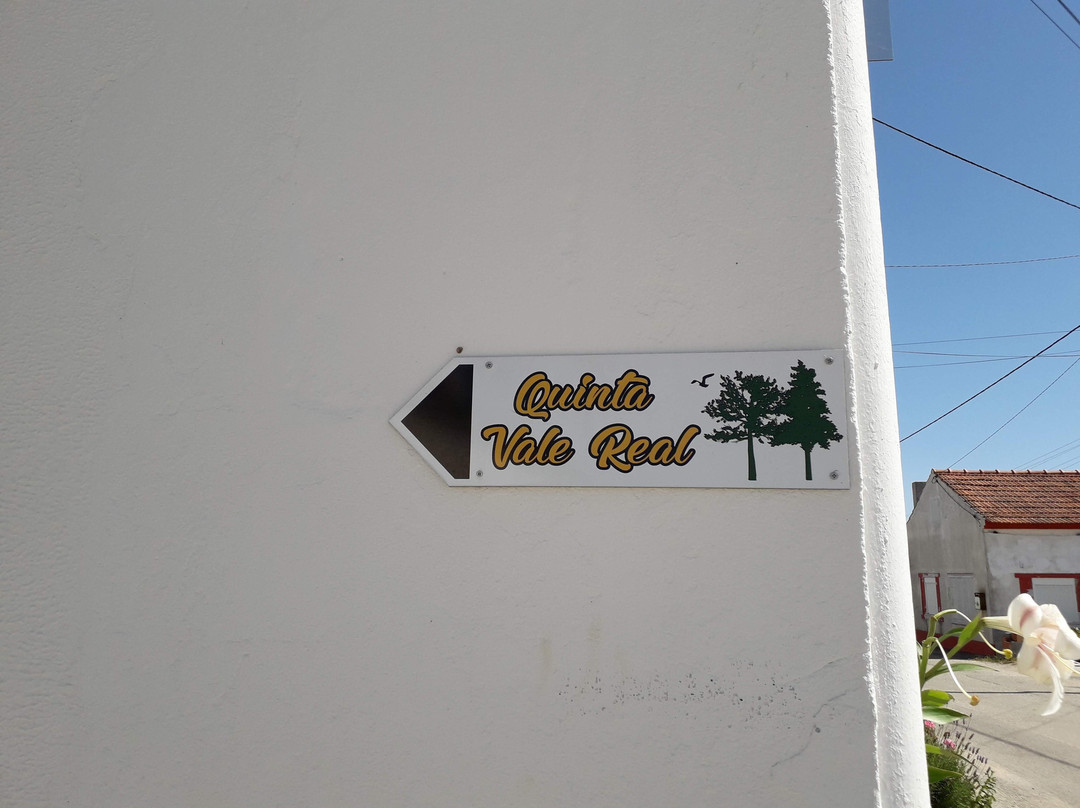 Quinta Vale Real主图