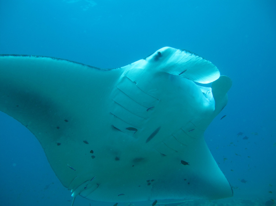 Perfect Voyage-马累必去景点