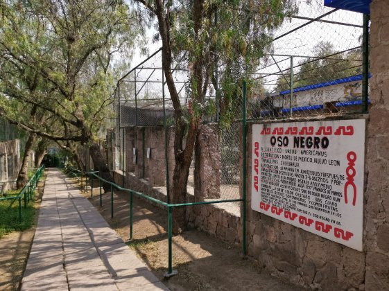 Parque Zoologico De San Luis Potosi景点图片