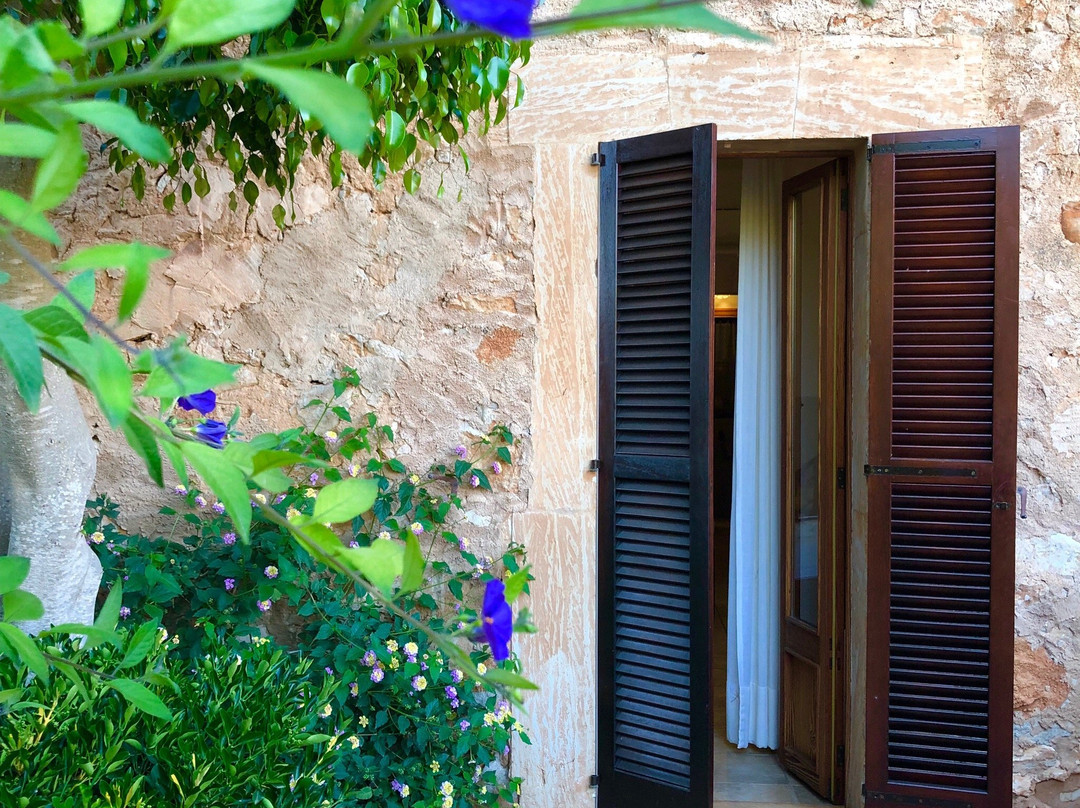 Sa Carrotja, Finca d'Agroturisme主图
