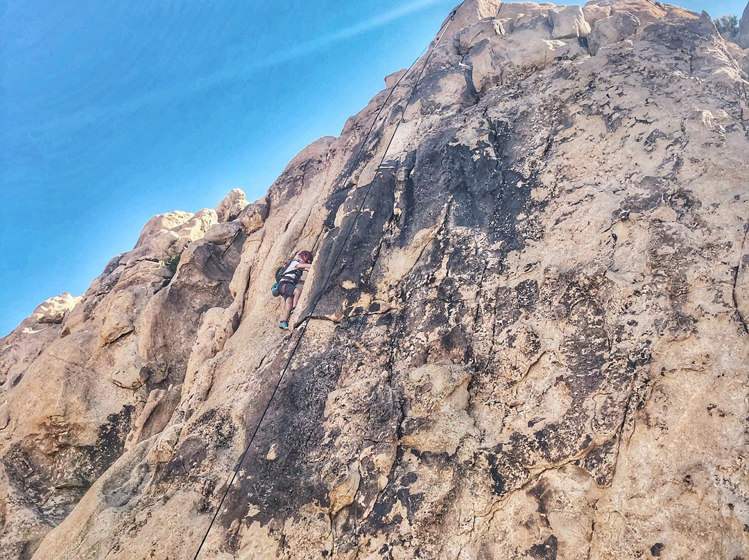 Mojave Guides-约书亚树必去景点