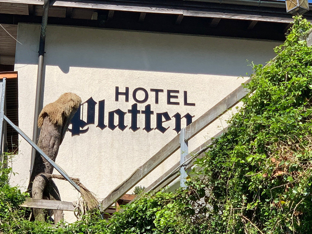 Hotel Restaurant Platten