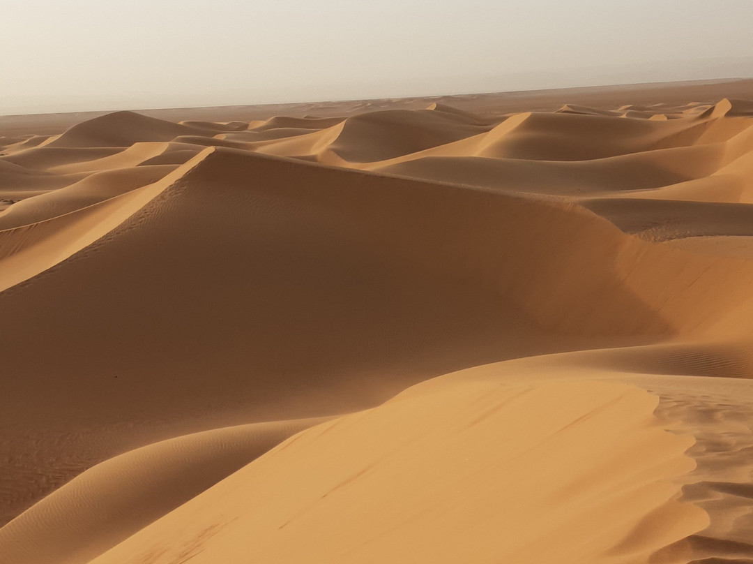 Sahara Trend-迈哈米德必去景点