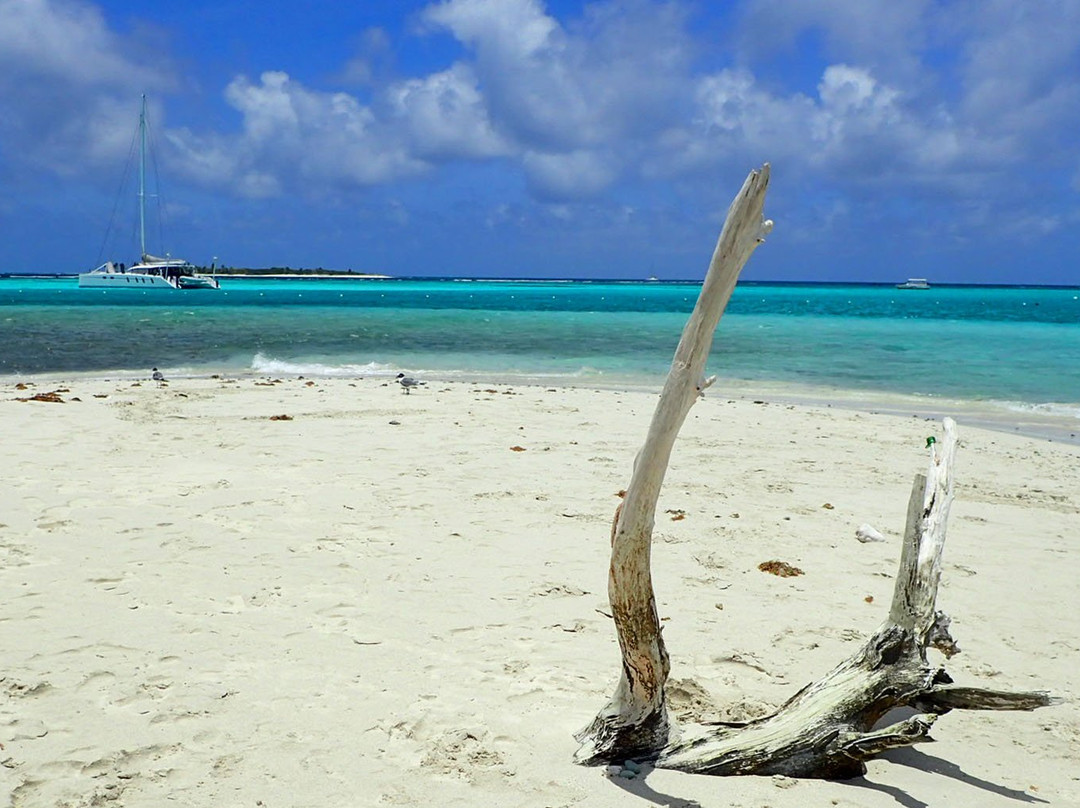 Simply Carriacou Island Tours景点图片