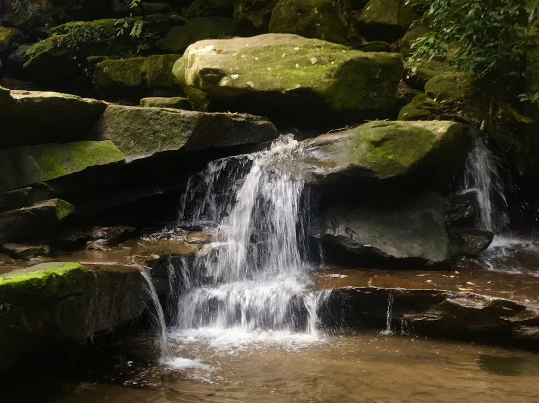 Somersby Falls Picnic Grounds景点图片