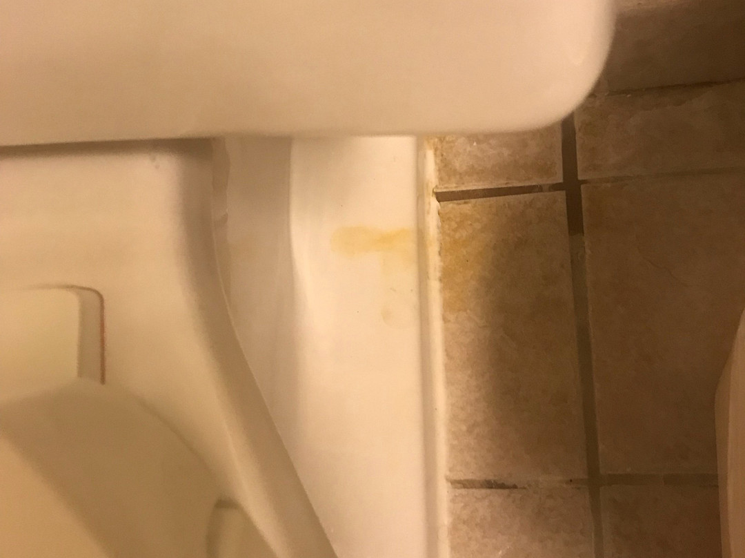 Comfort Inn Elizabeth City主图