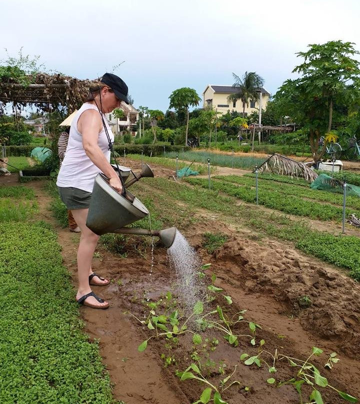 Tra Que Vegetable Village-会安必去景点