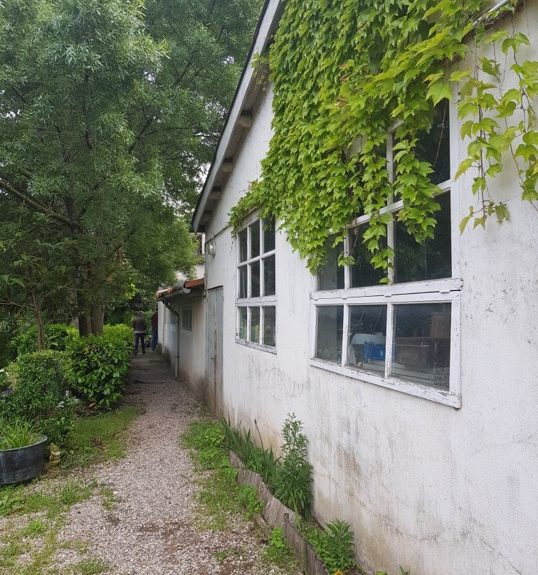 Villa Jeanne主图