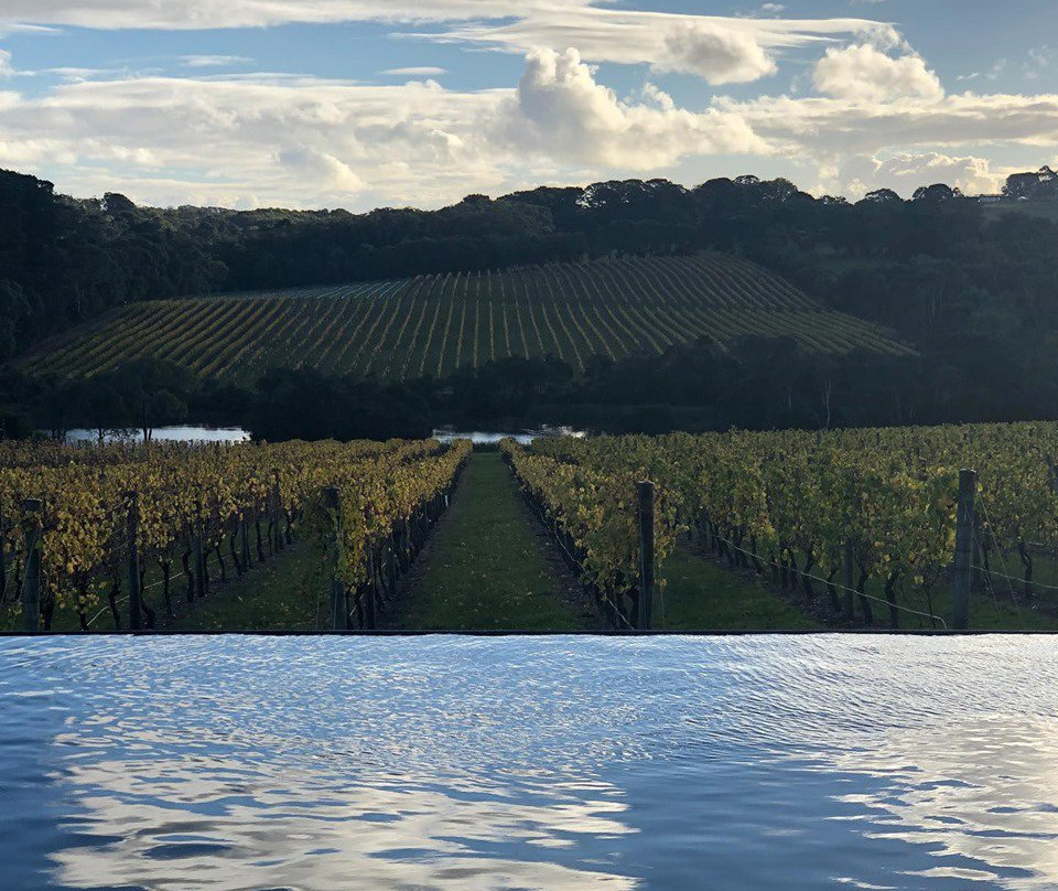 Jackalope Hotel主图