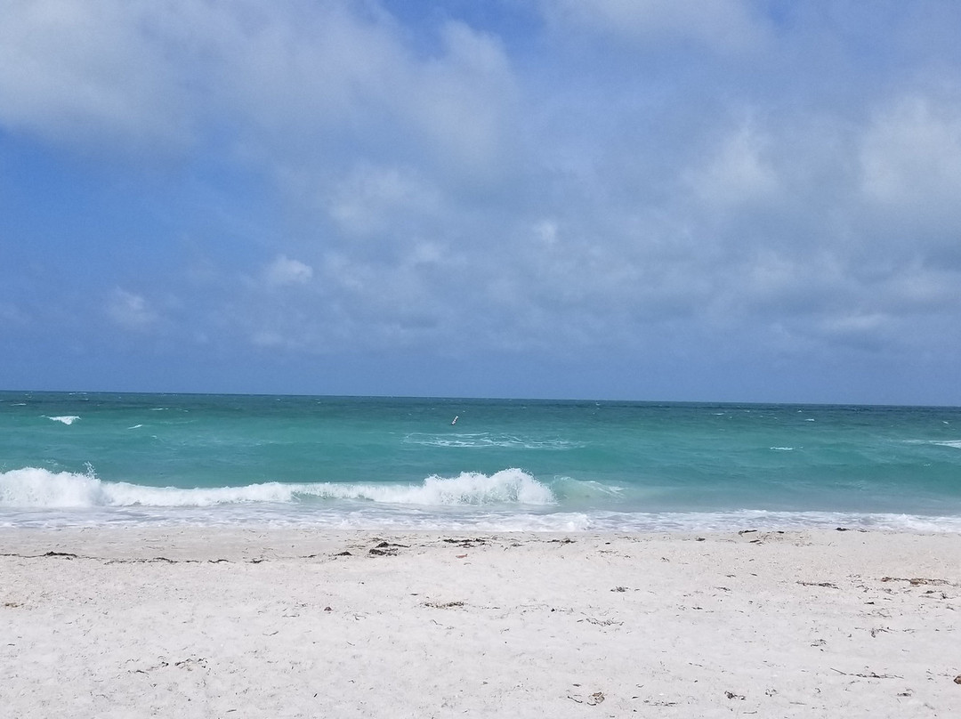 Palm Tree Villas主图