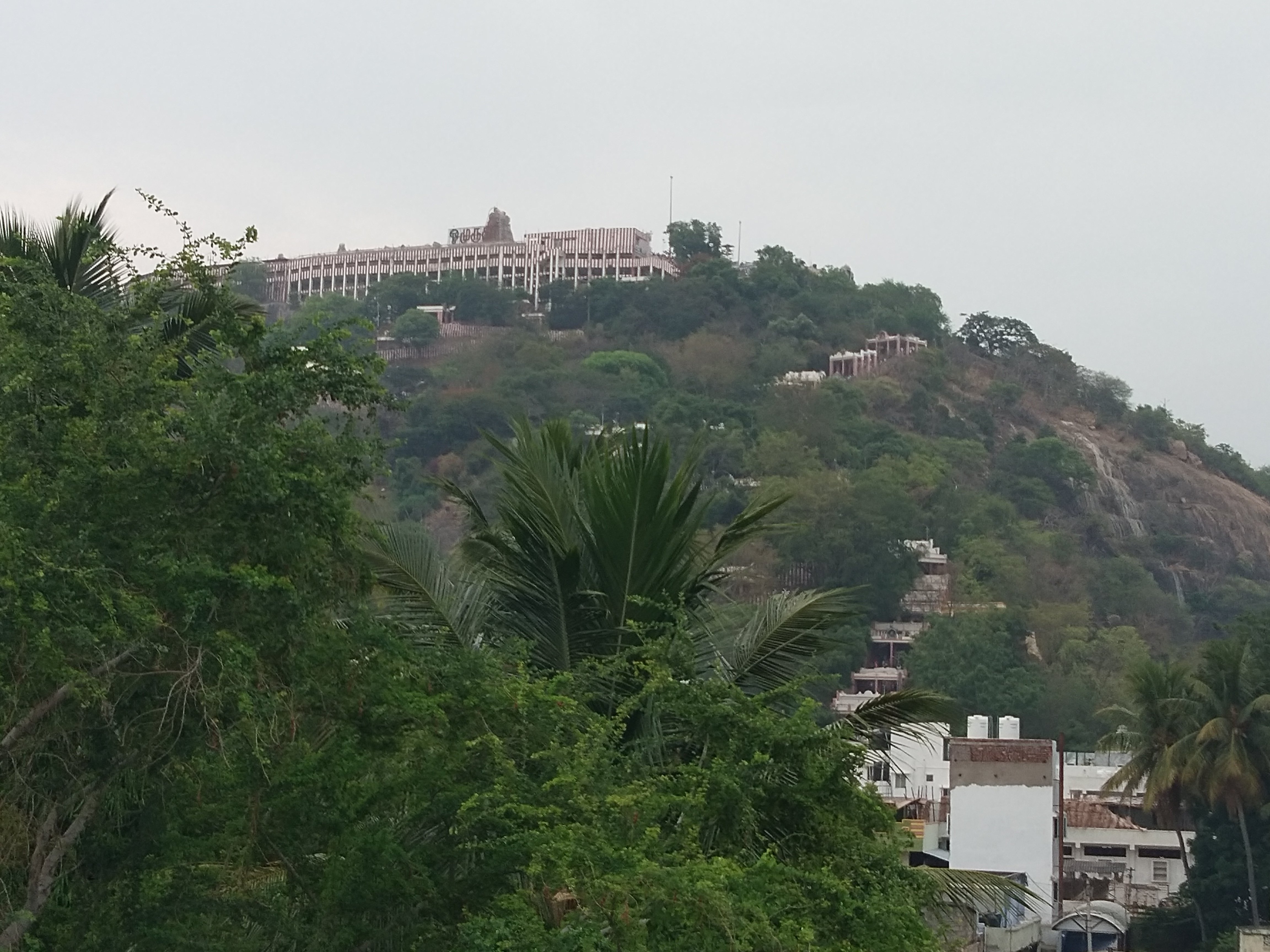 Pattiah Naidu Palace-官方