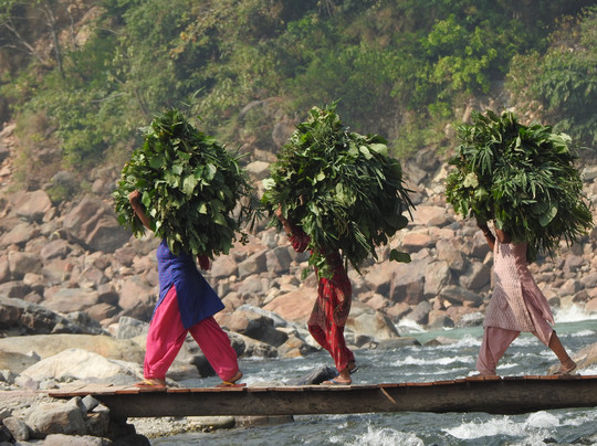 Vista Trip-里希克虚必去景点