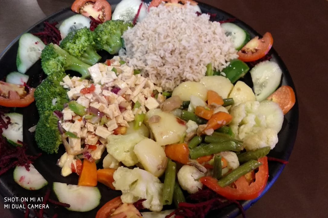 Magic Tree Inn主图