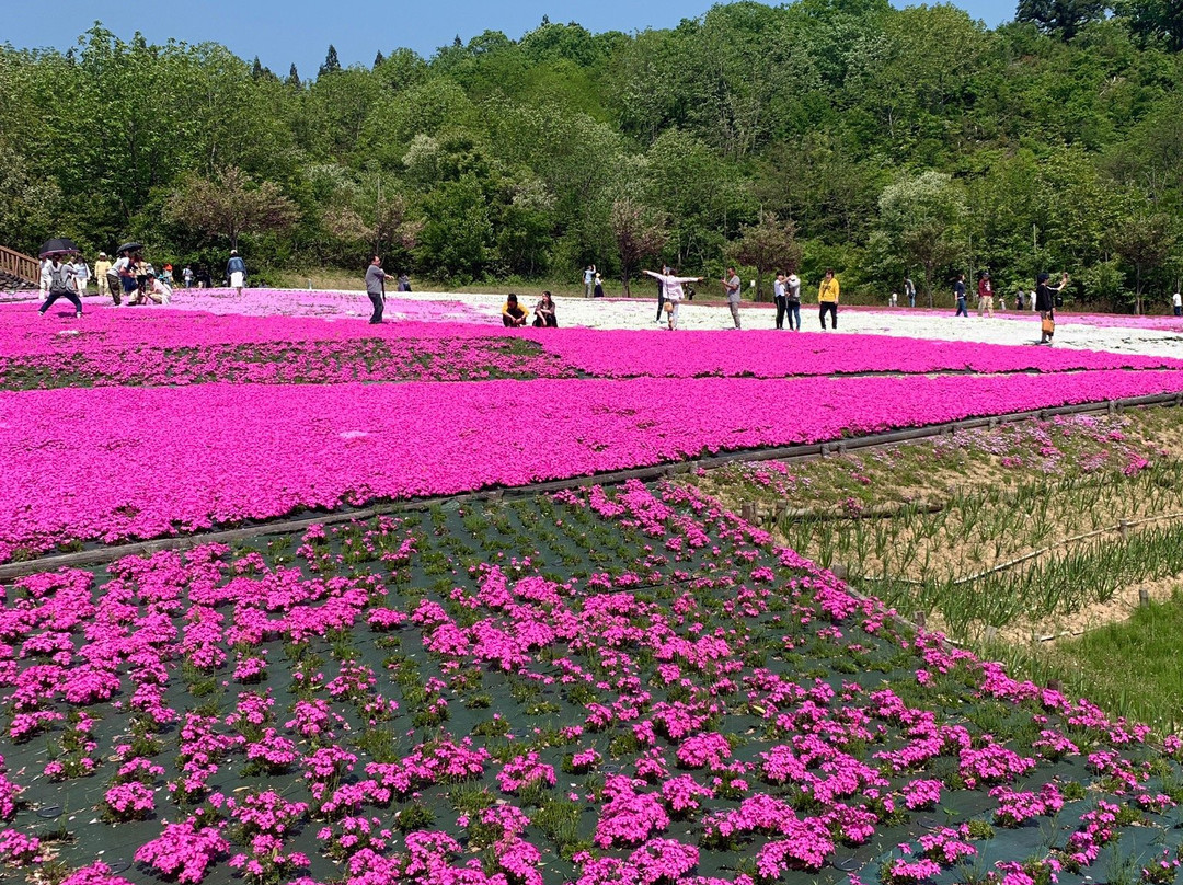 Negoya Flower, Green and Snow Park景点图片