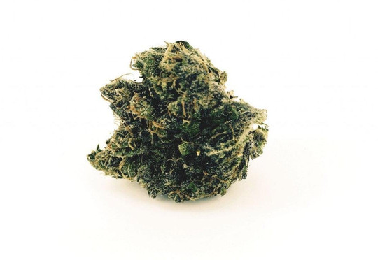 WeedTour-蒙得维的亚必去景点