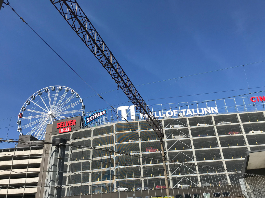 Skywheel Of Tallinn-塔林必去景点