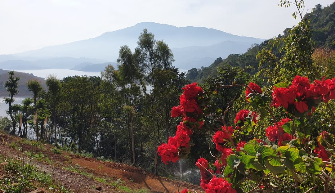 Contour Island Resort & Spa by Citrine主图