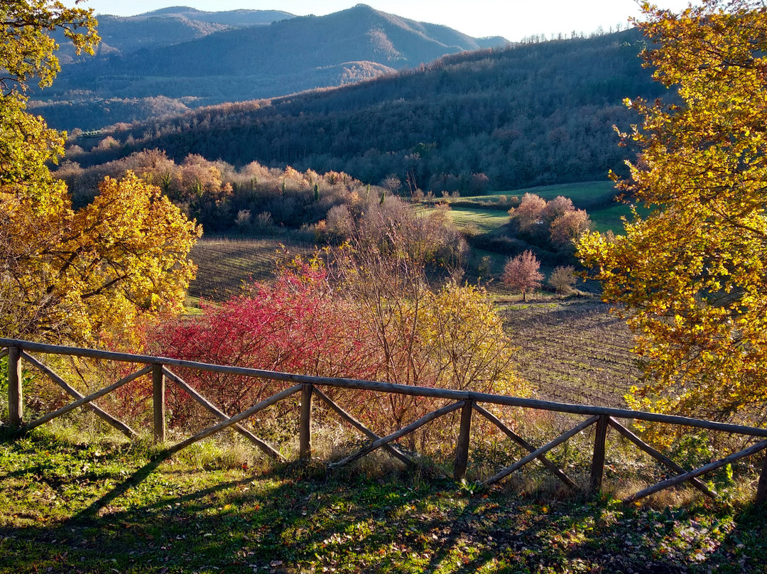 Ornina Winery景点图片