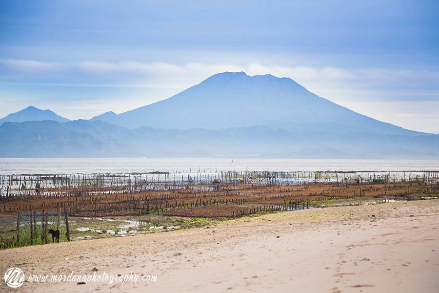 Amazing Nusa Penida Tour-沙努尔必去景点