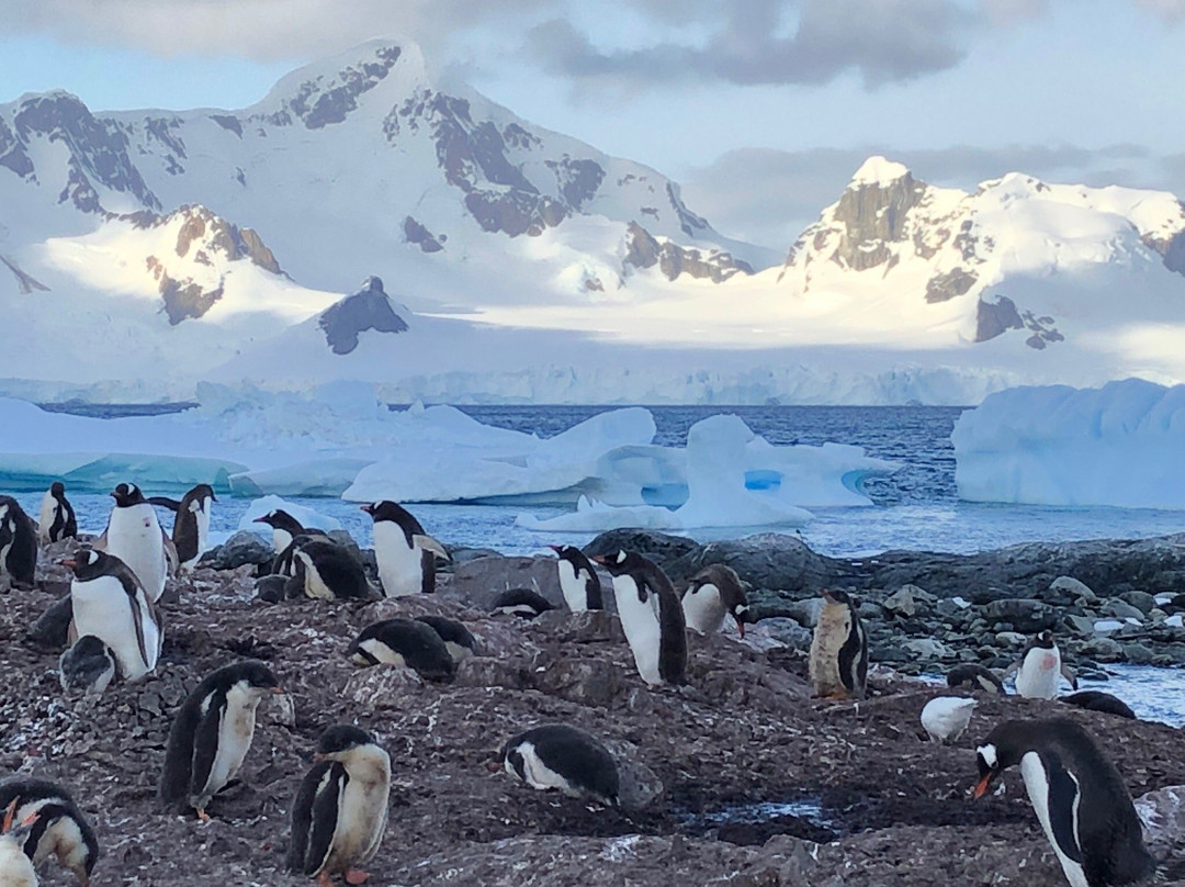 Base General Bernardo O'higgins-Antarctic Peninsula必去景点