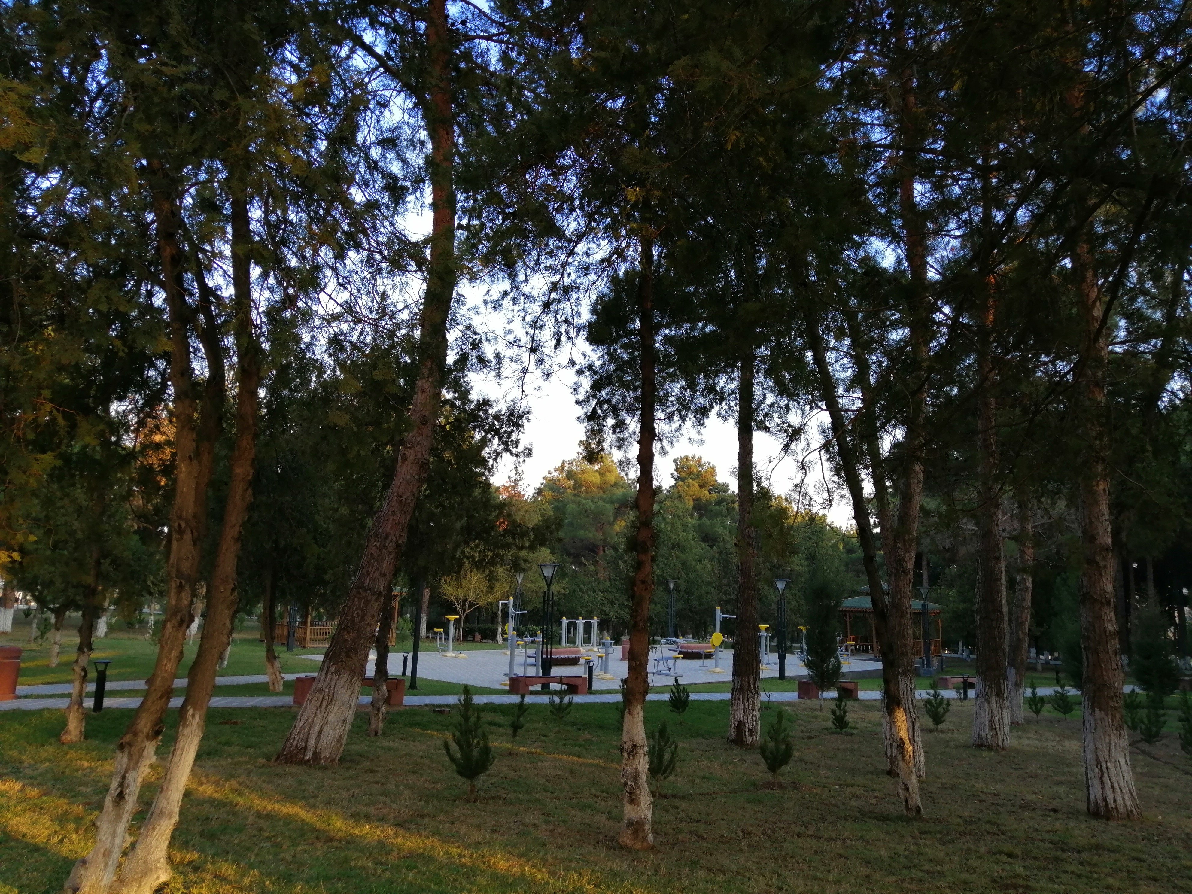 Chinar Hotel & Spa - Naftalan-浴室