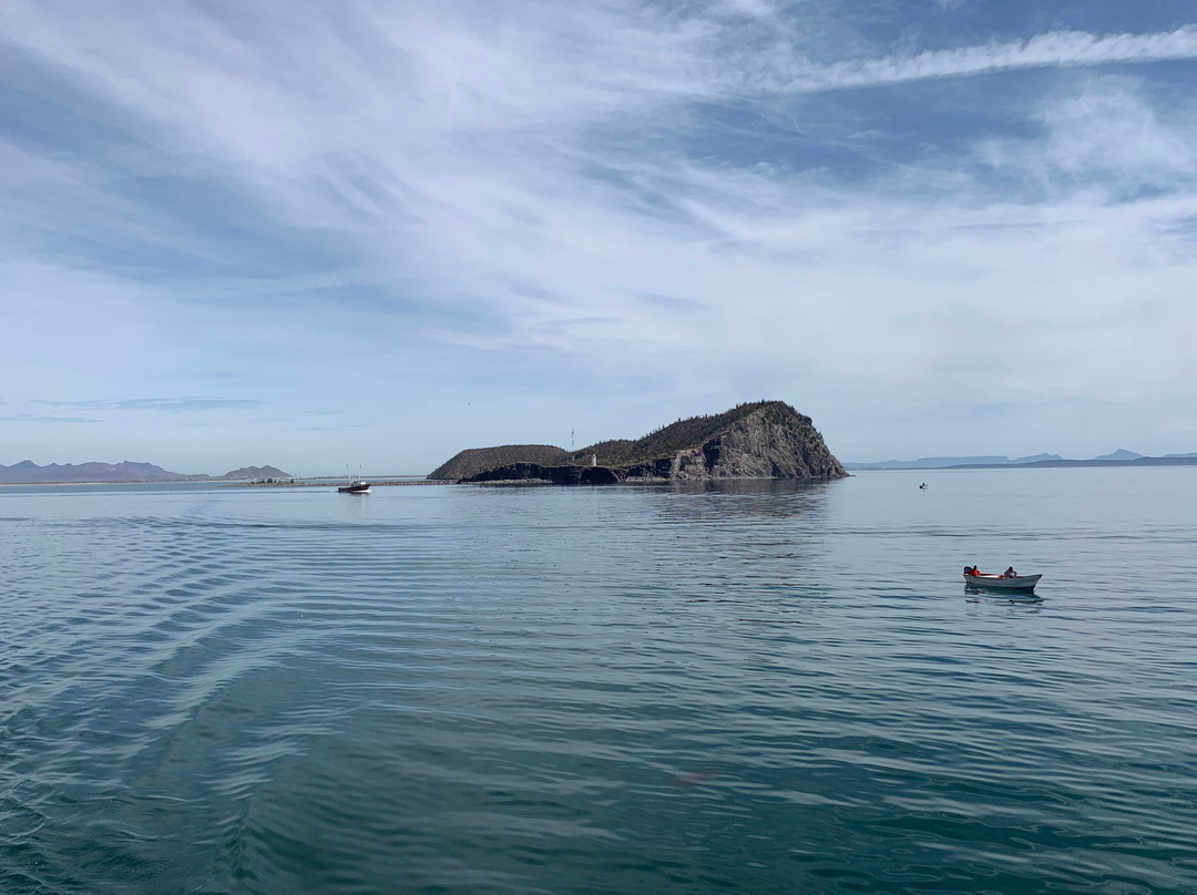 Ferry Sana Rosalia-Guaymas必去景点