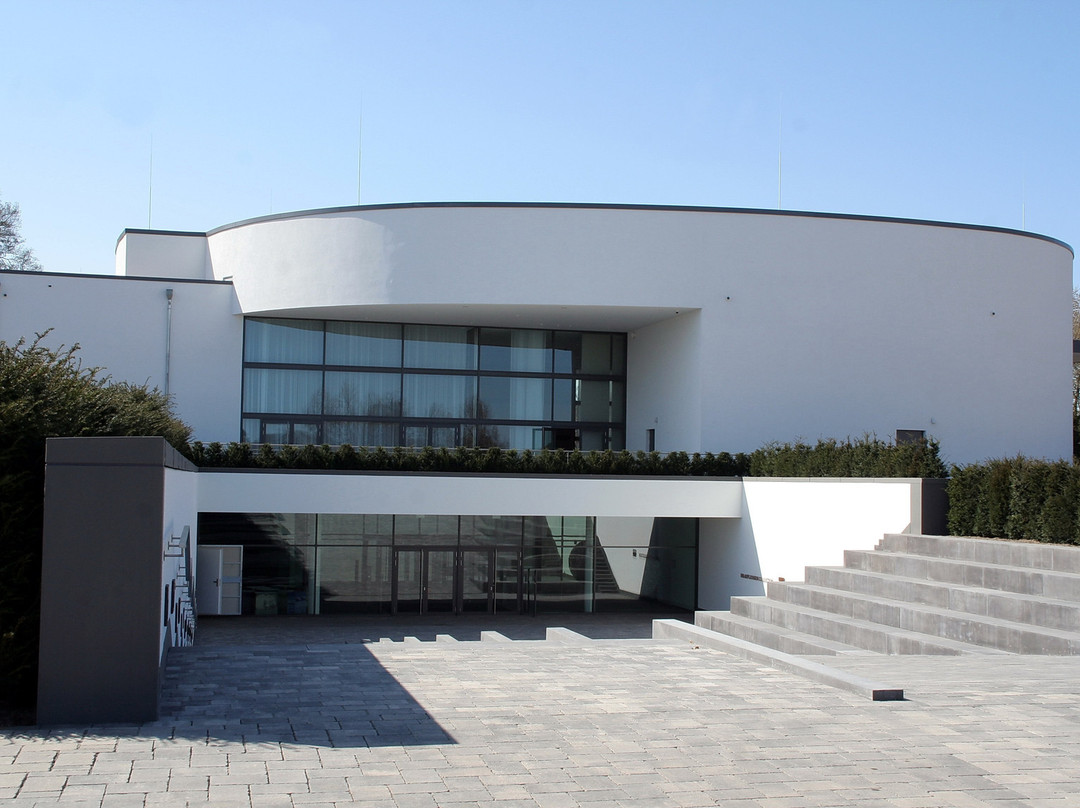 Draiflessen Collection景点图片