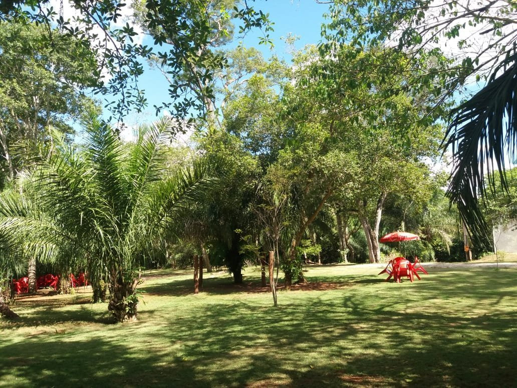 Jardim Ecopark景点图片
