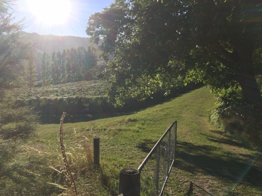 Takamatua Valley Vineyard景点图片