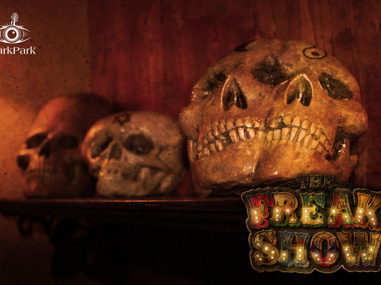 DarkPark-代尔夫特必去景点