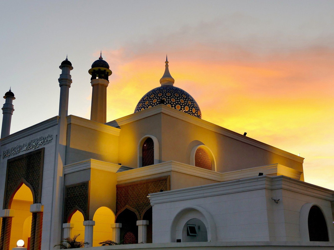 Brunei International Airport Mosque景点图片