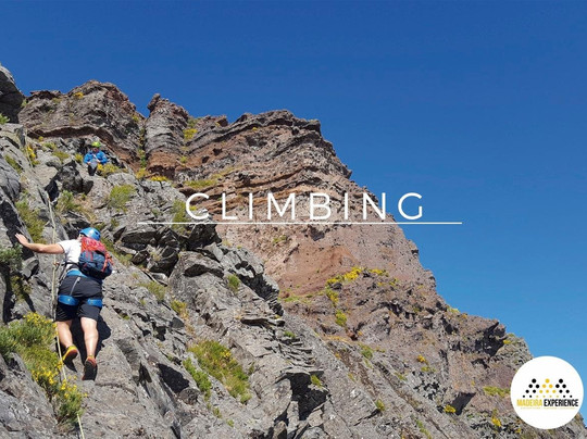 Madeira Experience-沙尔必去景点