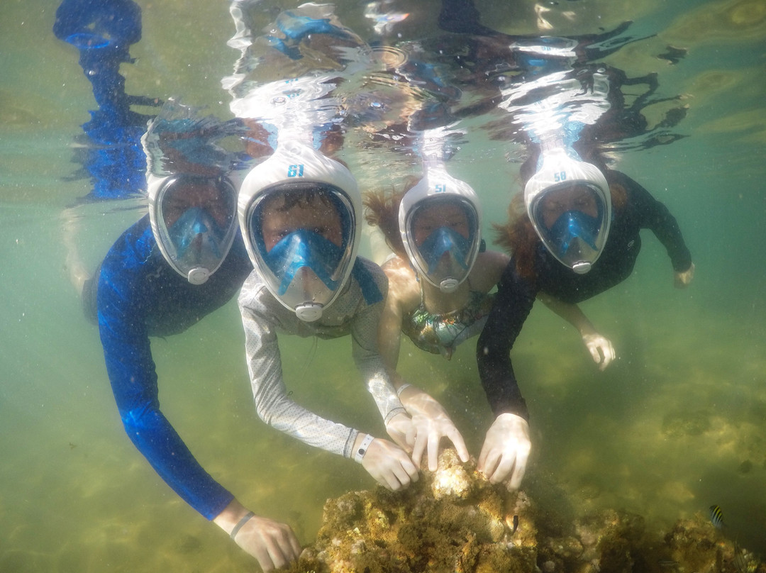 Mergulho Easy-普拉亚多海滩必去景点