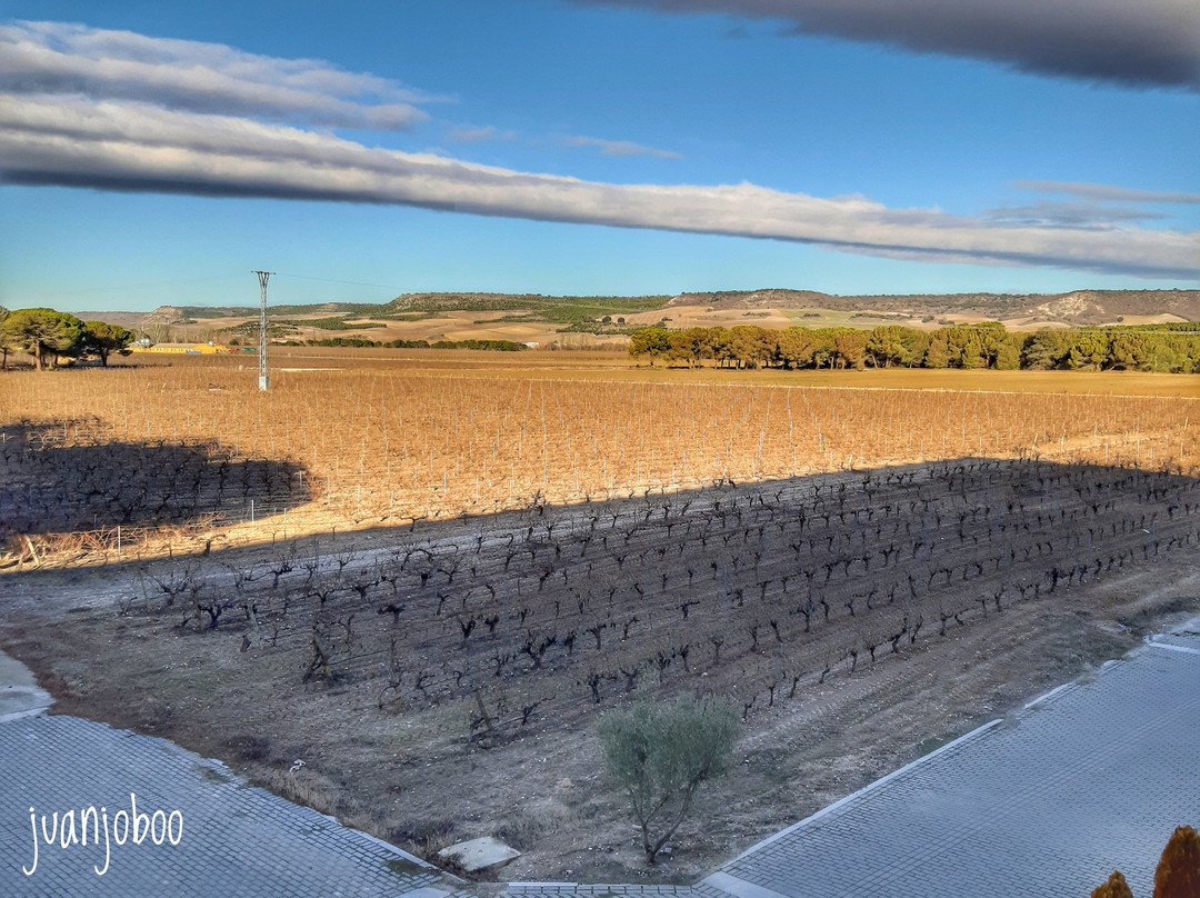 Hotel & Spa Arzuaga主图