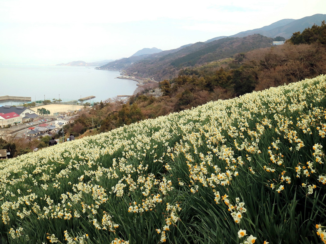 Nihon Suisen Hanakaido-伊矛市必去景点