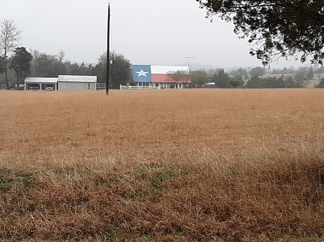 Big Tin Bed and Breakfast主图