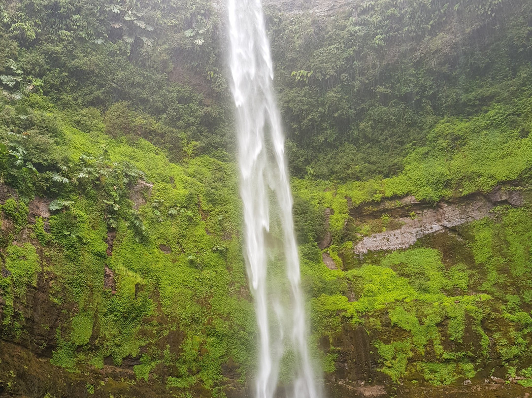 Parque Salto del Claro景点图片