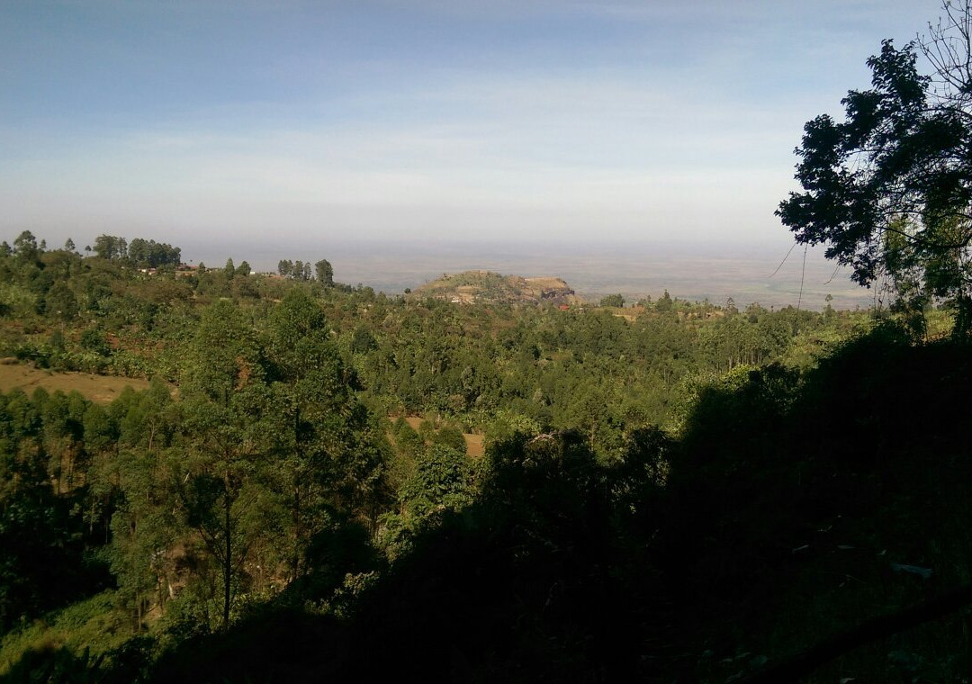 Fredson's Homestay主图