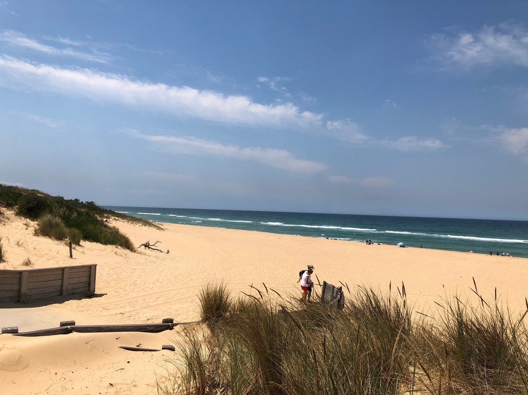 Comfort Inn Towradgi Beach主图