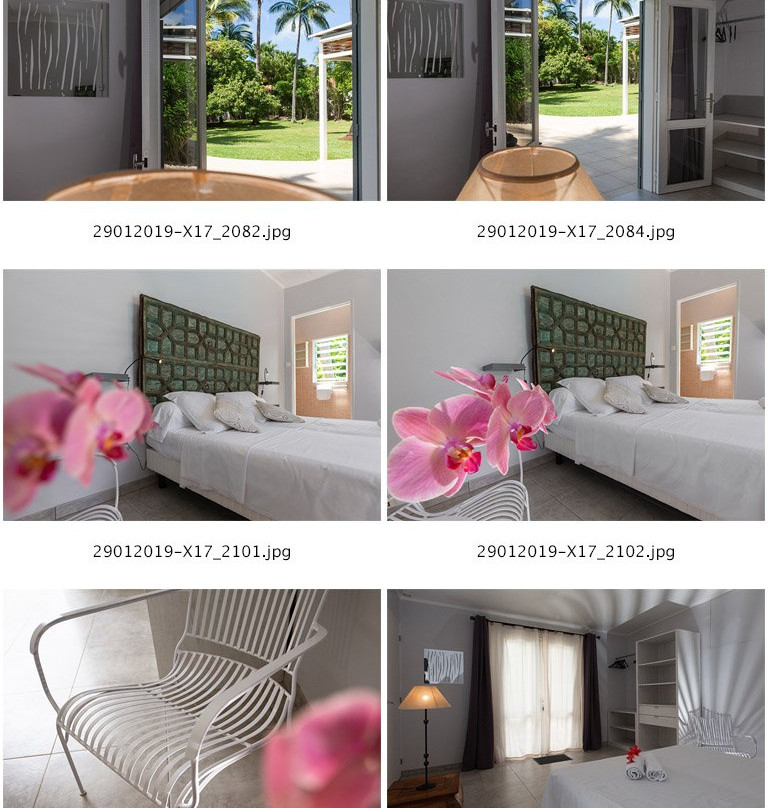 L'Echappee Belle主图