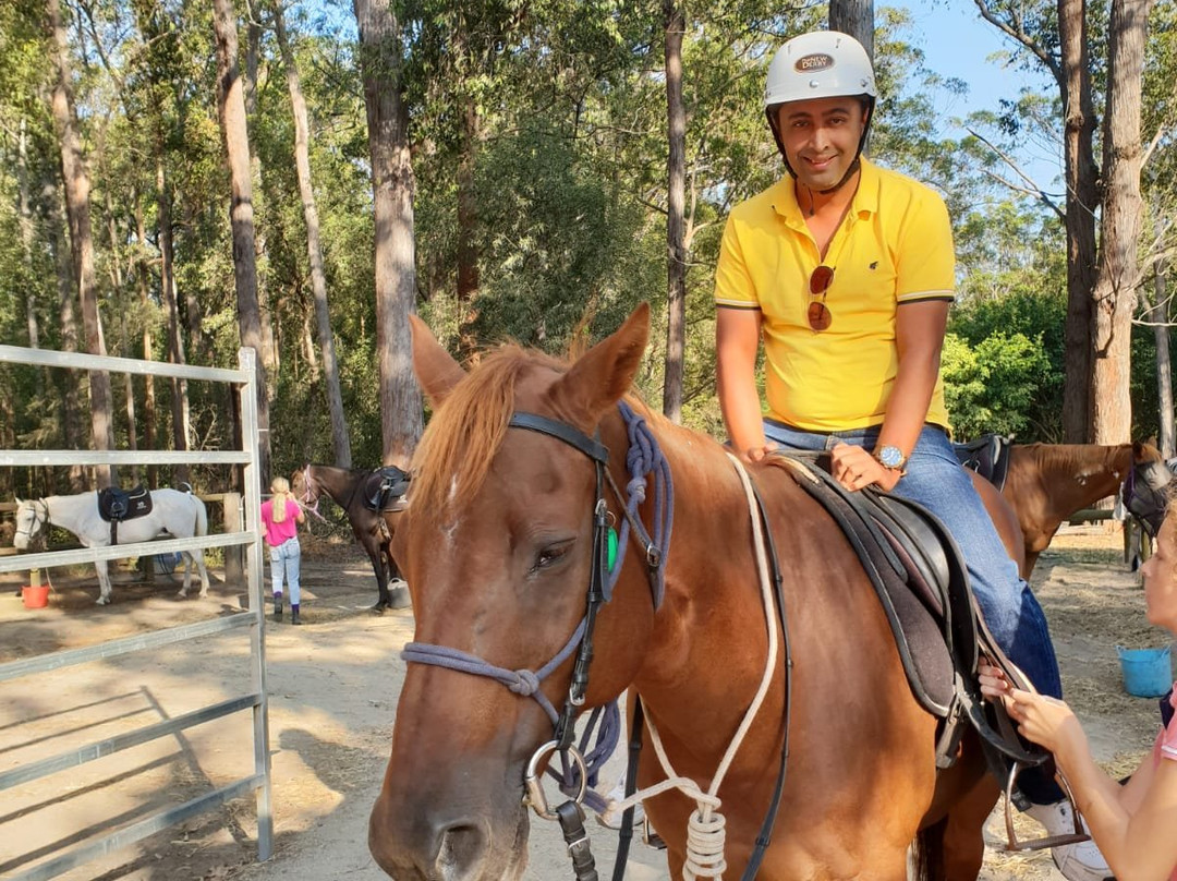Port Macquarie Horse Riding Centre-麦克夸利港必去景点