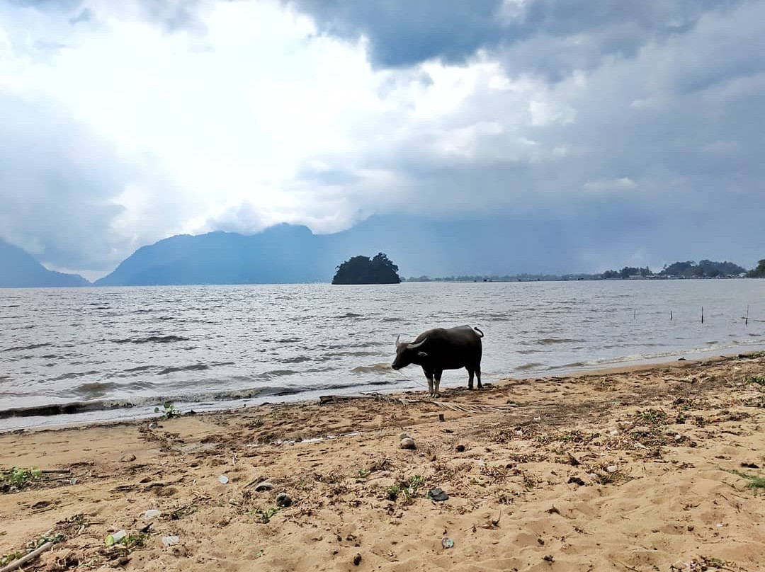 Arlen Nova's Paradise Guesthouse主图