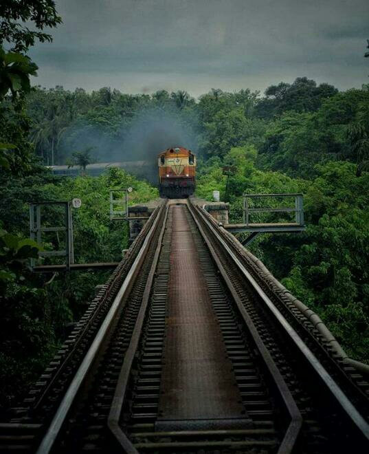 Nilambur Manor主图