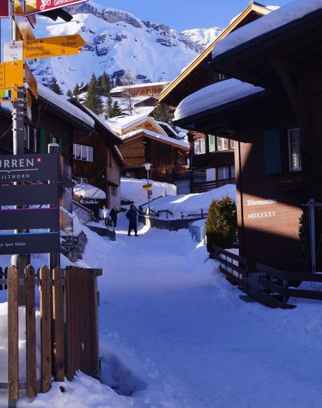Alpines Sportzentrum Mürren景点图片