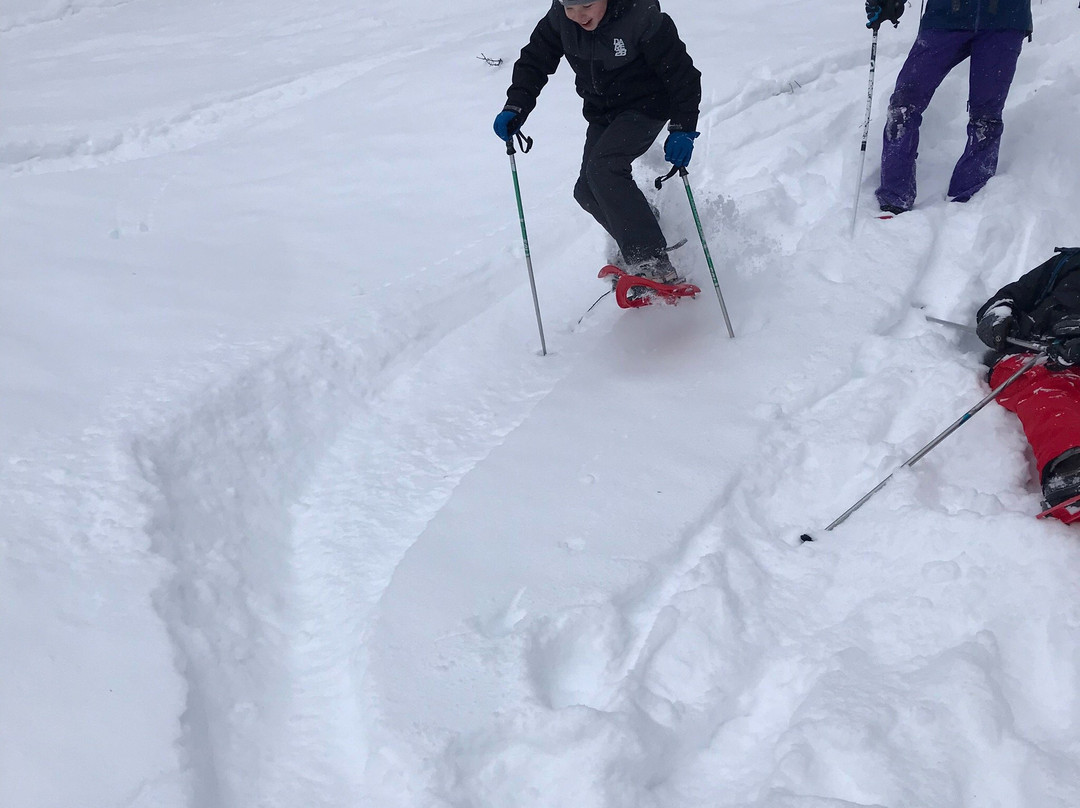 Snocool-Sainte-Foy-Tarentaise必去景点