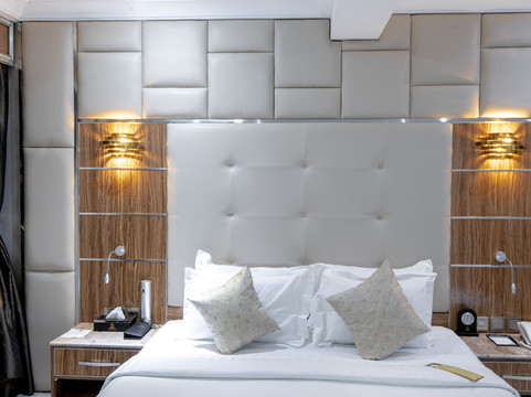 The Wells Carlton主图