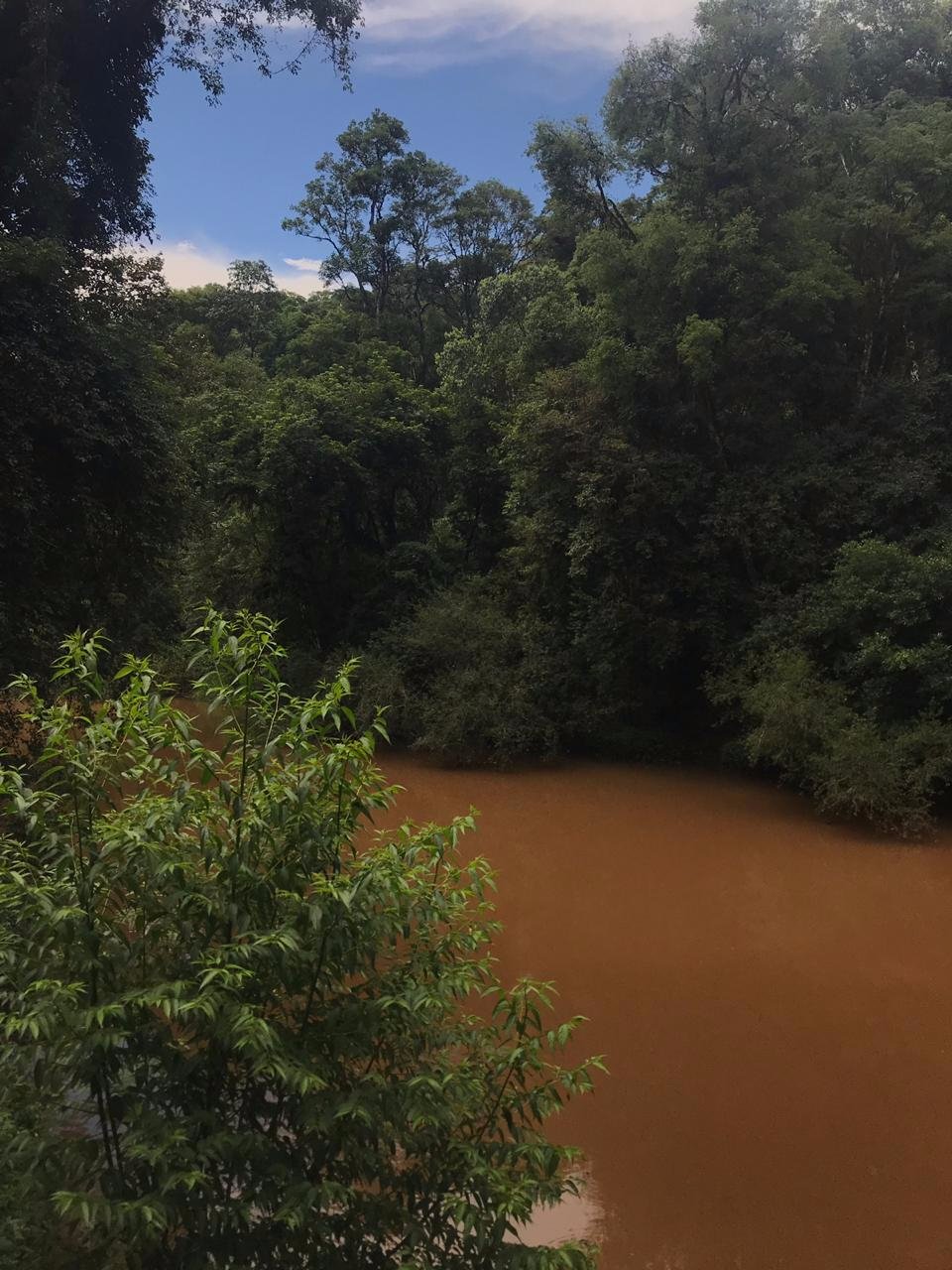 Margay - Reserva Natural & Lodge de Selva-酒店景观