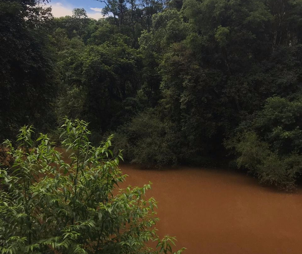 Margay - Reserva Natural & Lodge de Selva主图