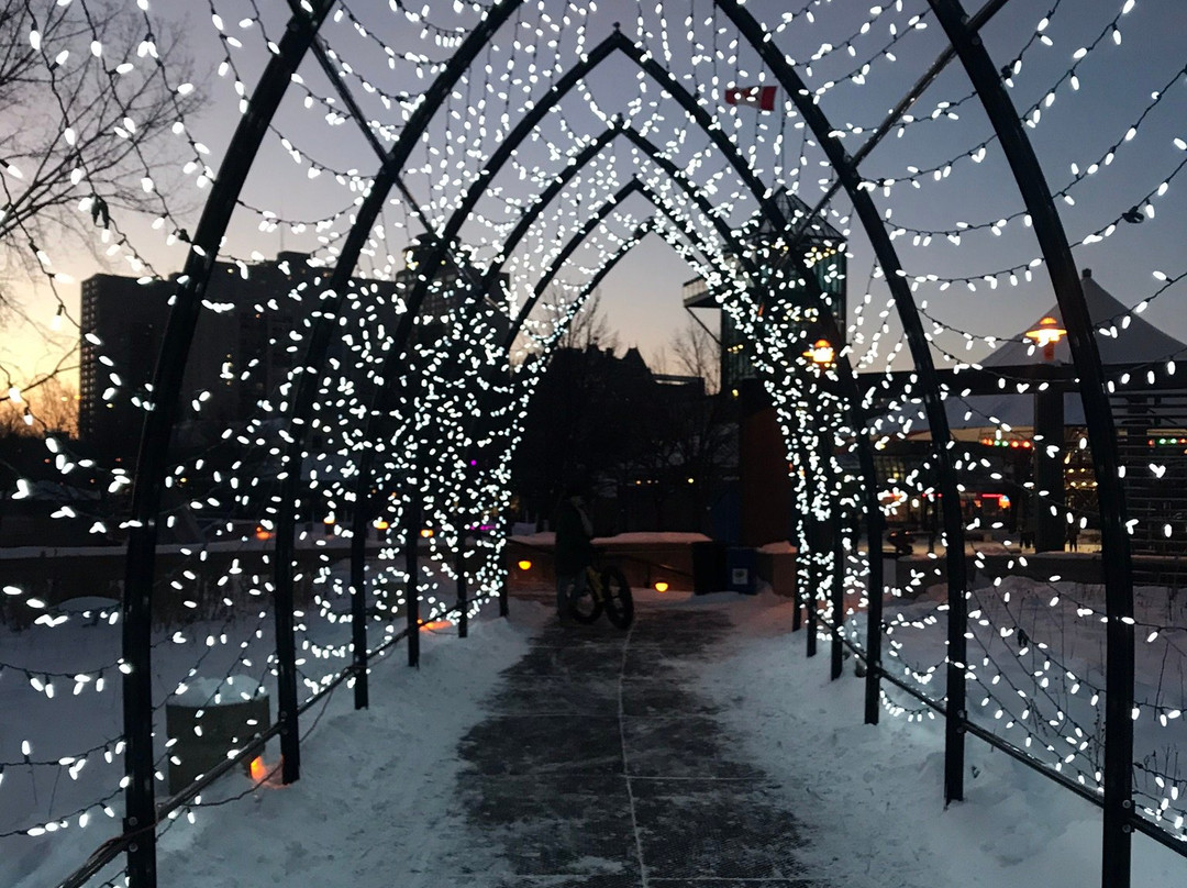 The Forks Market-温尼伯必去景点