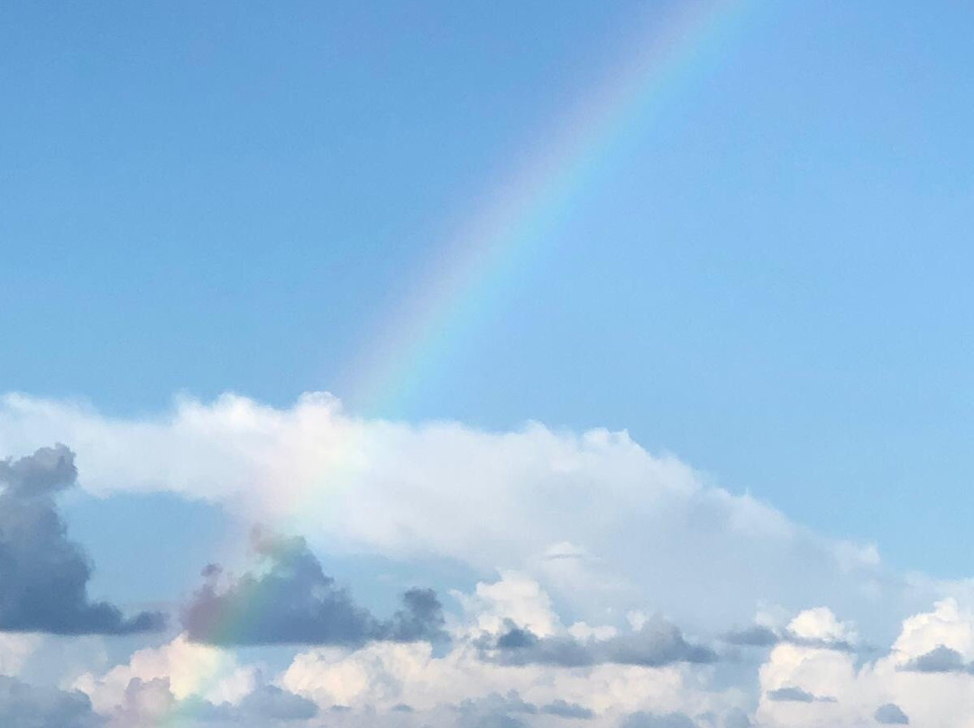 Euro-Divers The Residence Maldives-Falhumaafushi必去景点